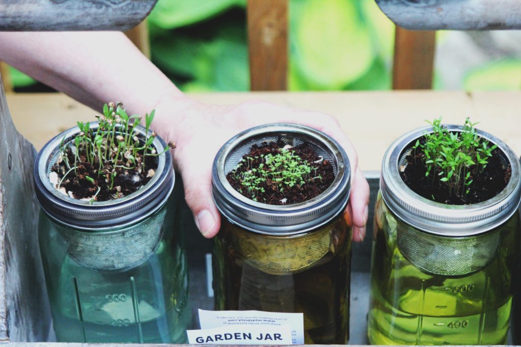 gardening for anxiety Dubai 